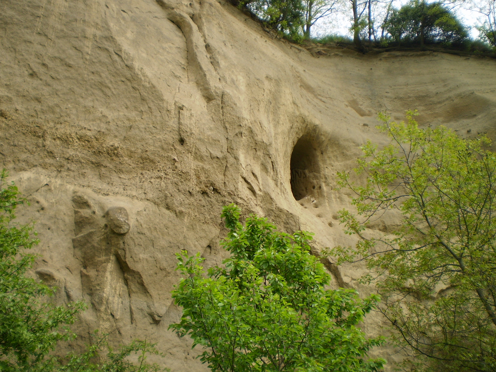 P4200795