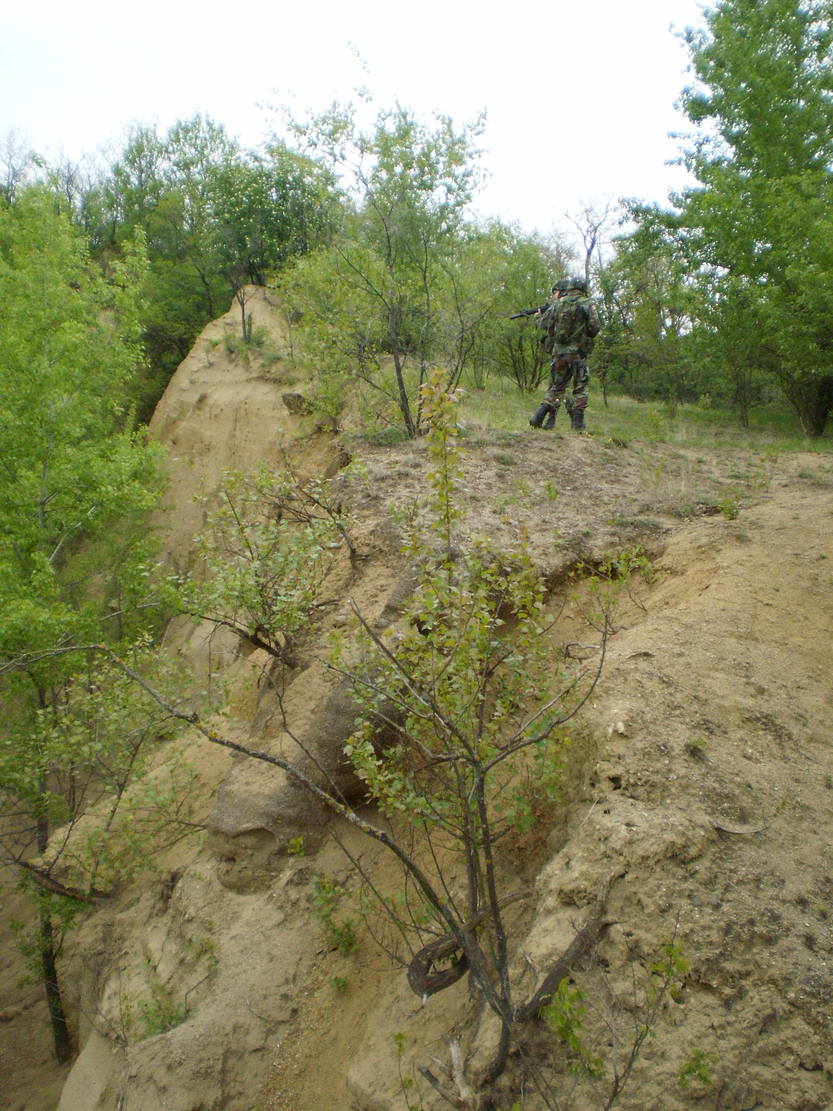 P4200761